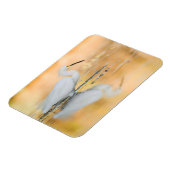 Egret wanneer de Zon plaatst Magneet (Linkerzijde)