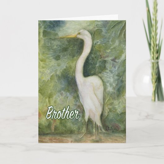 Egret white bird wildernis Brother Birthday Card Kaart (Voorkant)