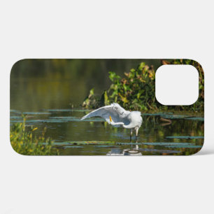 Egret Wing Exam iPhone Case