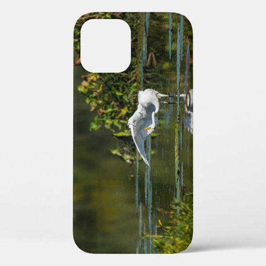 Egret Wing Exam iPhone Case (Achterkant)