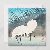 Egrets and Reeds, fijne kunst van Ohara Koson Kaart (Voorkant)