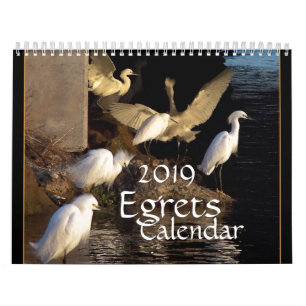 Egrets Birds Wildlife Animals 2019 Agenda Kalender