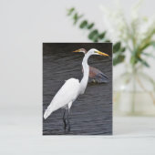 Egrets Briefkaart (Staand voorkant)