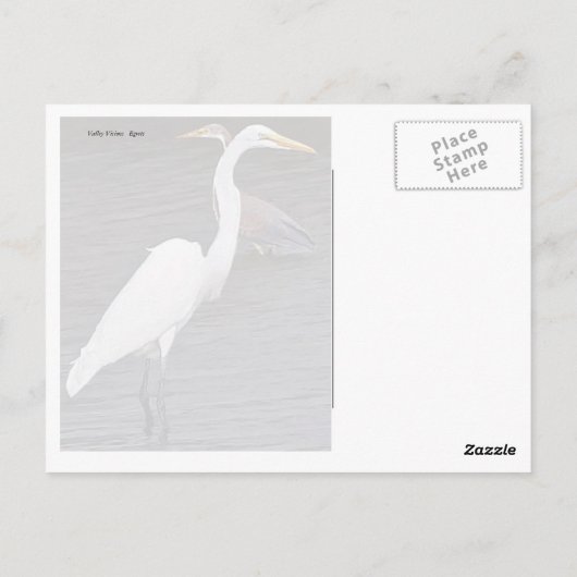 Egrets Briefkaart (Achterkant)
