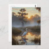 Egrets in Everglades National Park Morning Briefkaart (Voorkant / Achterkant)