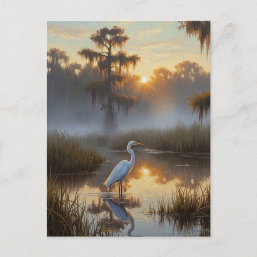 Egrets in Everglades National Park Morning Briefkaart (Voorkant)
