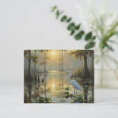 Egrets in Everglades National Park Morning Briefkaart (Staand voorkant)