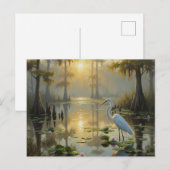 Egrets in Everglades National Park Morning Briefkaart (Voorkant / Achterkant)