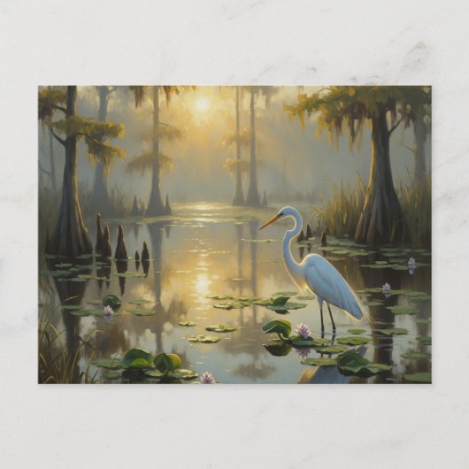 Egrets in Everglades National Park Morning Briefkaart (Voorkant)