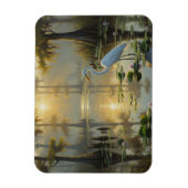 Egrets in Everglades National Park Morning Magneet (Verticaal)