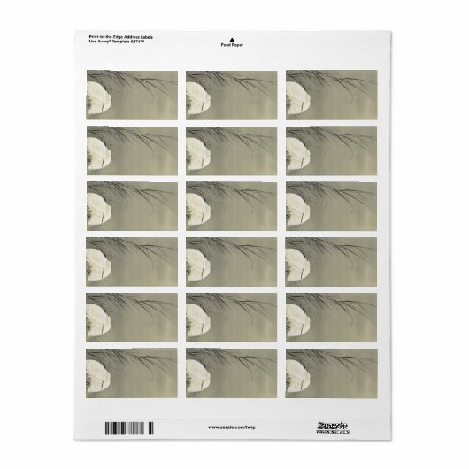 Egrets in Swamp by Ohara Koson Etiket (Full Sheet)