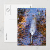 Egrets veer briefkaart (Voorkant / Achterkant)