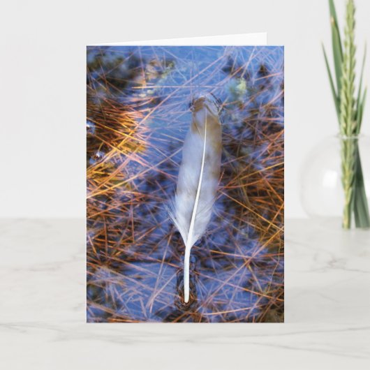 Egret's Veer Kaart (Voorkant)