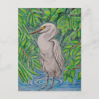 Egretvogel Briefkaart