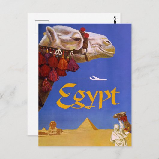 Egypt Camel Briefkaart (Voorkant / Achterkant)