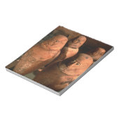 Egypte, 26e dynastie-kanopiepotten gevonden in Abu Notitieblok (Linkerzijde)