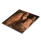 Egypte, 26e dynastie-kanopiepotten gevonden in Abu Tegeltje (Zijkant)