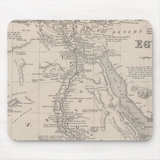 Egypte 9 muismat (Voorkant)