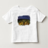 Egypte, Abu Simbel, kolossale cijfers van Ramesses Kinder Shirts (Voorkant)
