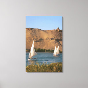 Egypte, Aswan, Nijl, Felucca-zeilboten, Canvas Afdruk