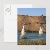 Egypte, Aswan, Nile River, Felucca-zeilboten, Briefkaart (Voorkant / Achterkant)