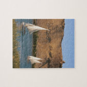 Egypte, Aswan, Nile River, Felucca-zeilboten, Legpuzzel (Horizontaal)