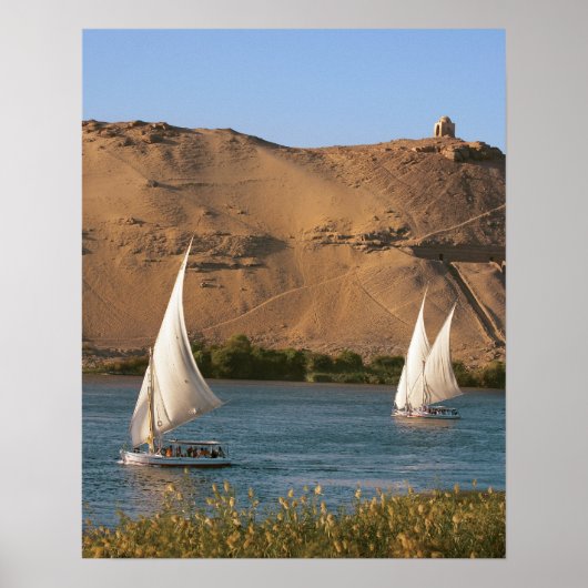 Egypte, Aswan, Nile River, Felucca-zeilboten, Poster (Voorkant)