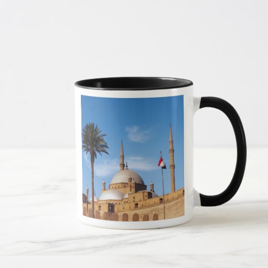 Egypte, Caïro, Citadel, Muhammad Ali-moskee Mok (Rechts)