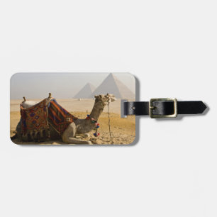Egypte, Caïro. Een eenzame kameel Bagagelabel