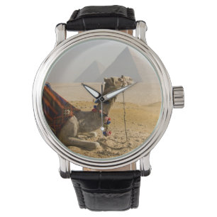 Egypte, Caïro. Een eenzame kameel Horloge