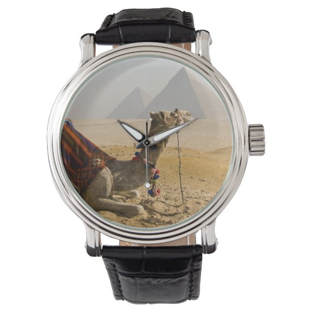 Egypte, Caïro. Een eenzame kameel Horloge (Voorkant)