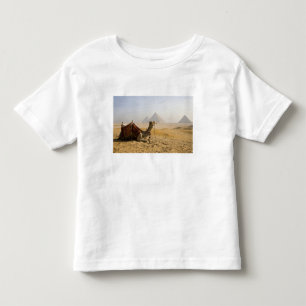 Egypte, Caïro. Een eenzame kameel Kinder Shirts