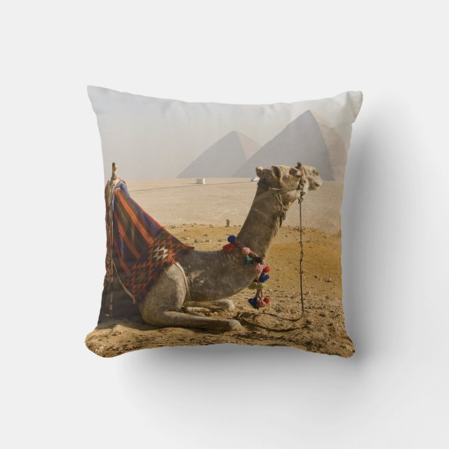 Egypte, Caïro. Een eenzame kameel Kussen (Voorkant)