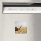 Egypte, Caïro. Een eenzame kameel Magneet (Insitu (Vaatwasser))