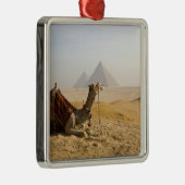Egypte, Caïro. Een eenzame kameel Metalen Ornament (Rechts)