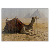 Egypte, Caïro. Een eenzame kameel Snijplank (Voorkant)
