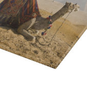 Egypte, Caïro. Een eenzame kameel Snijplank (Hoek)