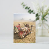 Egypte, Caïro. Rustende kamelen Briefkaart (Staand voorkant)