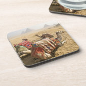 Egypte, Caïro. Rustende kamelen Drankjes Onderzetter (Linkerzijde)