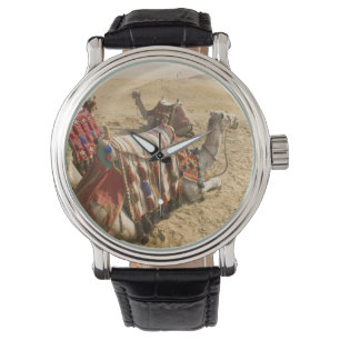 Egypte, Caïro. Rustende kamelen Horloge