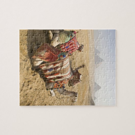 Egypte, Caïro. Rustende kamelen Legpuzzel (Horizontaal)