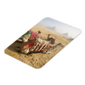 Egypte, Caïro. Rustende kamelen Magneet (Linkerzijde)