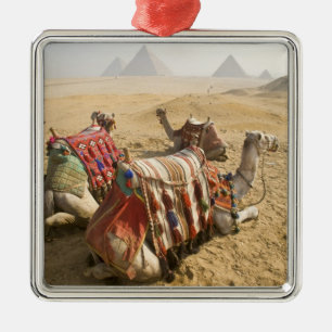 Egypte, Caïro. Rustende kamelen Metalen Ornament