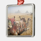 Egypte, Caïro. Rustende kamelen Metalen Ornament (Links)