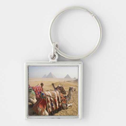 Egypte, Caïro. Rustende kamelen Sleutelhanger (Voorkant)