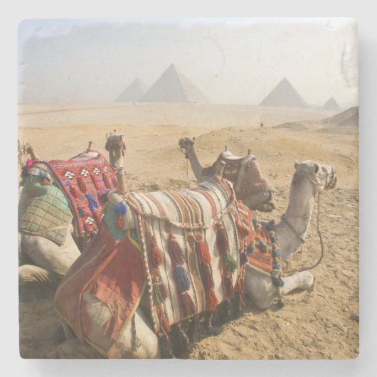 Egypte, Caïro. Rustende kamelen Stenen Onderzetter (Voorkant)