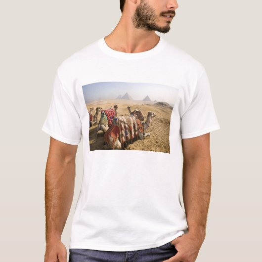 Egypte, Caïro. Rustende kamelen T-shirt (Voorkant)