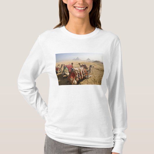 Egypte, Caïro. Rustende kamelen T-shirt (Voorkant)