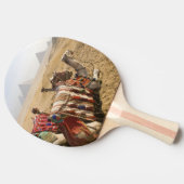 Egypte, Caïro. Rustende kamelen Tafeltennisbatje (Zijkant)