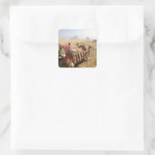 Egypte, Caïro. Rustende kamelen Vierkante Sticker (Tas)